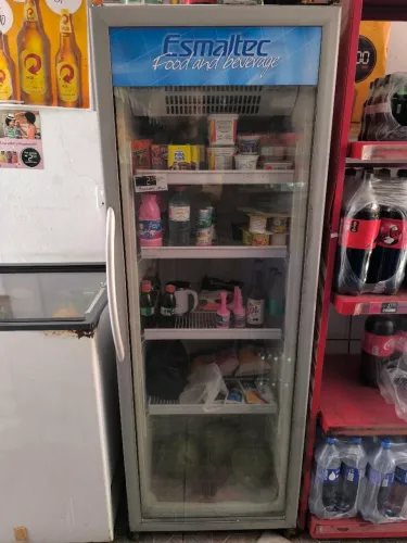 Freezer vertical expositor