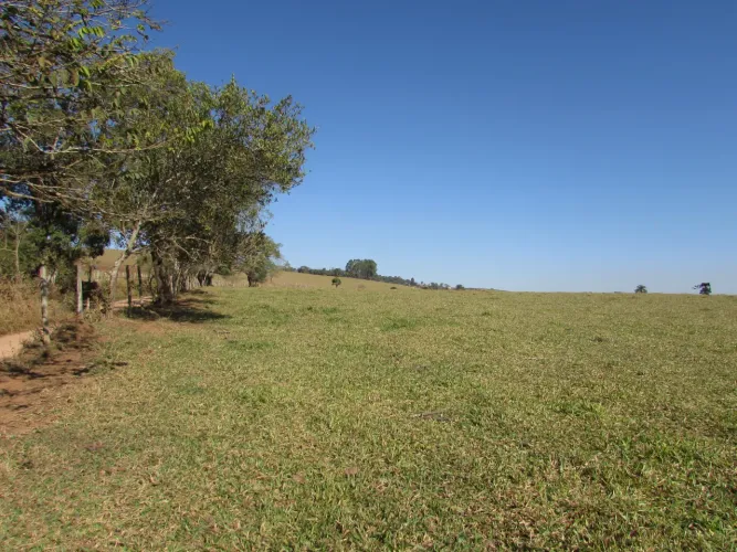 Area Comercial de 4 alqueires comercial ou industrial em Cambui MG logistica