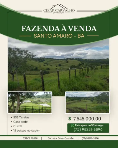 FAZENDA EM SANTO AMARO - 503 TAREFAS