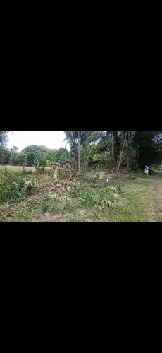 Terreno Abaetetuba - Ipixuna.