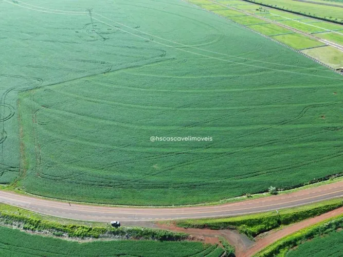Terreno a venda em localização estratégica a partir de 20.000 m².