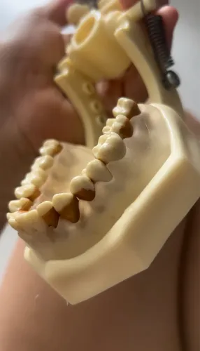 Manequim odontologia periodontia 