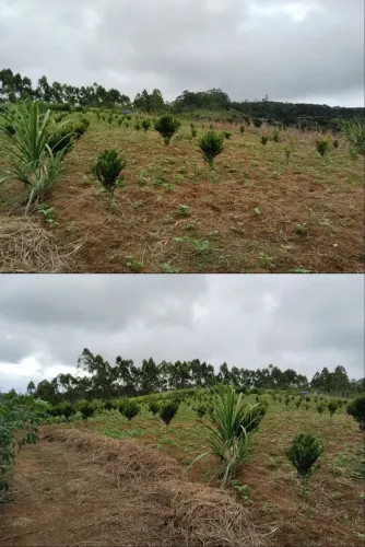 Terreno em são Rafael Domingos Martins.