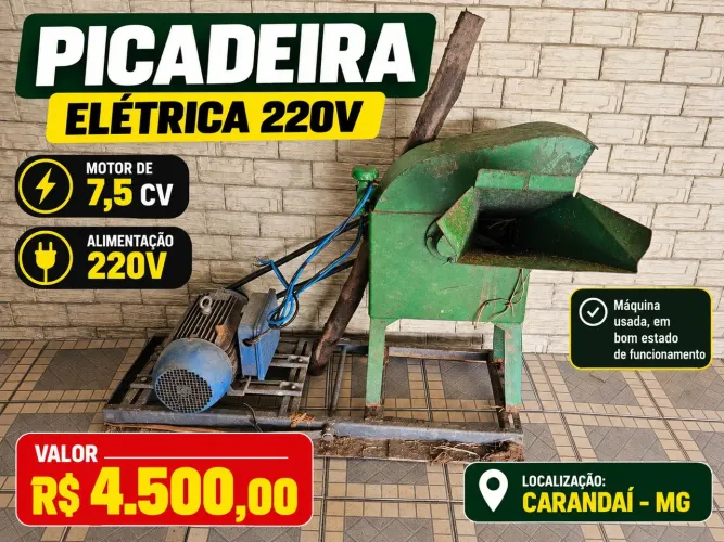 Picadeira elétrica