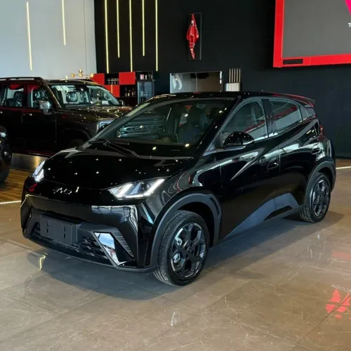 BYD Dolphin Mini GL 2027