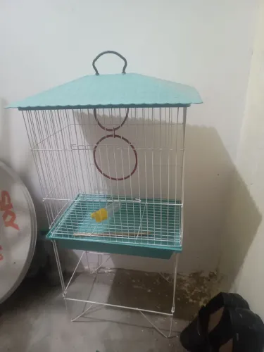 Viveiro para seu pet