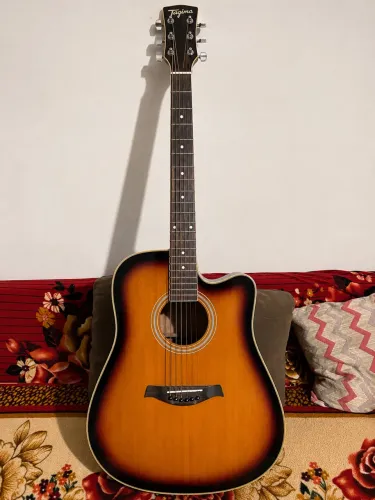 Violão Tagima Folk Aço Sunburst Usado