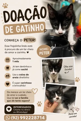 Adoção do Peter