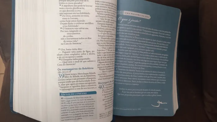 Bíblia Sagrada de Estudos Teológicos seminova