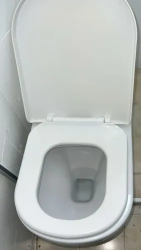 Vaso sanitário