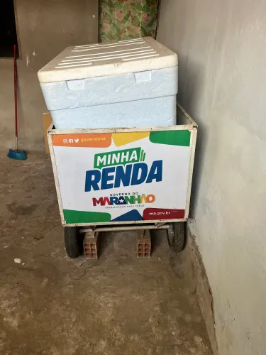 CARRINHO AMBULANTE/ DE VENDA