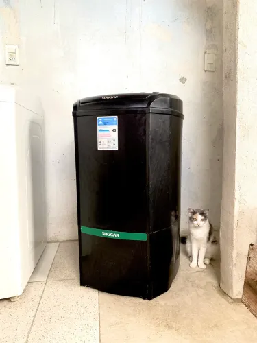 Tantinho 16 quilos