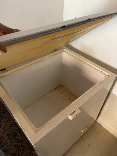 Freezer Electrolux