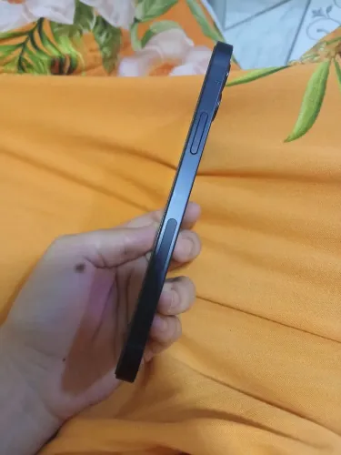 iPhone 12 impecável 