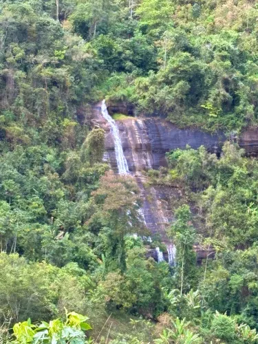 Terreno em vargem alta 