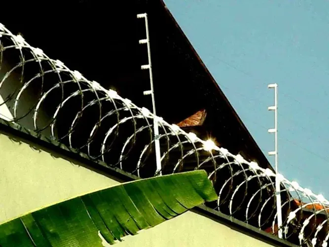 Cerca Elétrica com Concertina