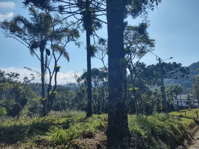 Terreno em Clube de Campo com 1000 m² na divisa Joinville x Campo Alegre/SC