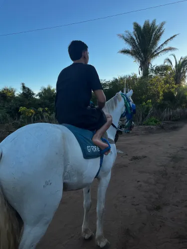 CAVALO MESTIÇO 