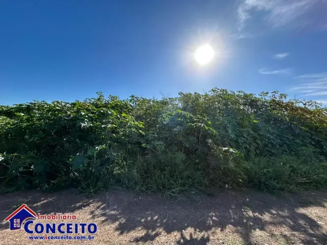 T381 - Terreno com área de 300 m² localizado no Balneário Presidente