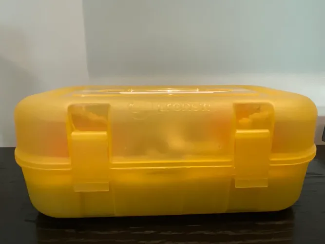 Manequim odontológico de Dentista PD 100 Pronew