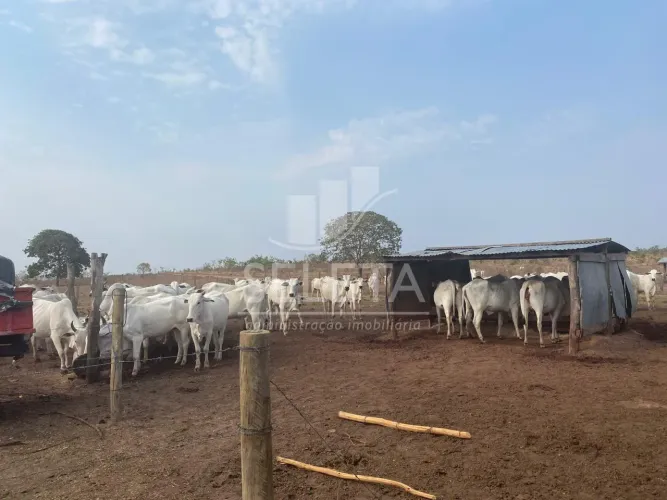Fazenda à venda, Zona Rural, GENERAL CARNEIRO - MT