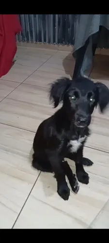 Doação