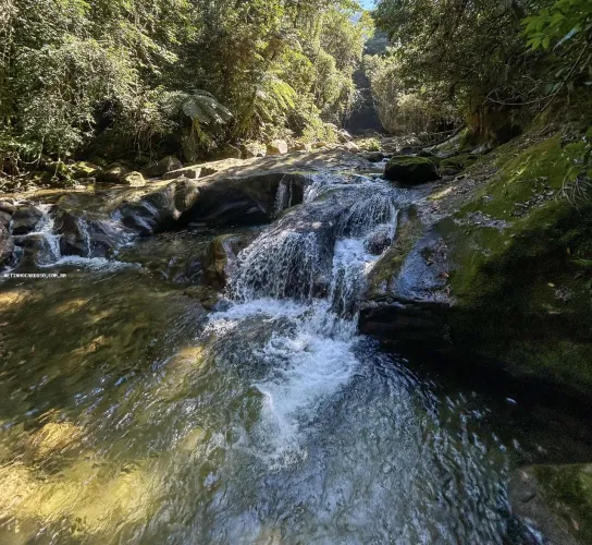 Fazenda para Venda em Silva Jardim, 6 dormitórios