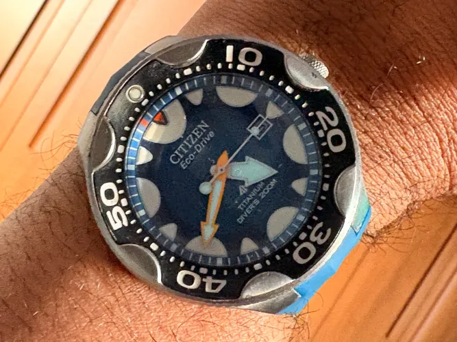 Citizen Orca Titanium