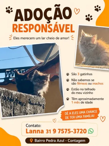 Adoção responsável 