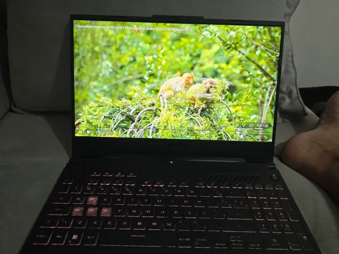 ASUS TUF Gaming F15 - i7 + RTX 4050 - Bateria de 90 Wh