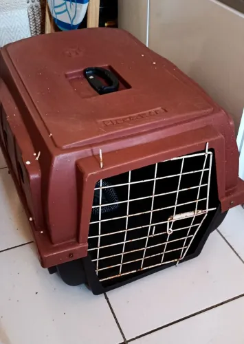 Caixa de pet N 03