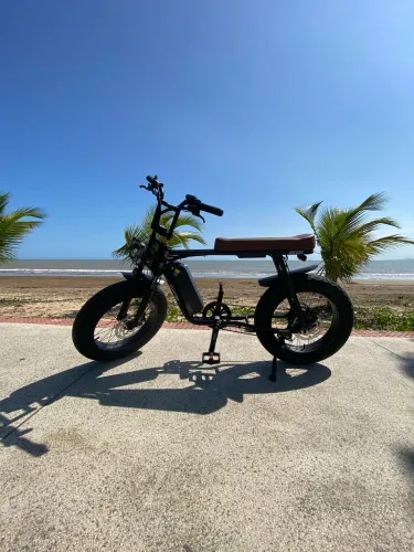 Bicicleta elétrica