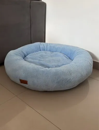 Caminha pet Nuvem