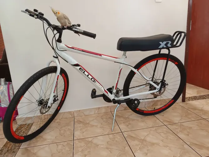 Bicicleta aro29 ello