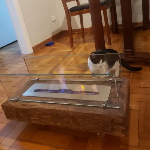 Lareira ecológica 