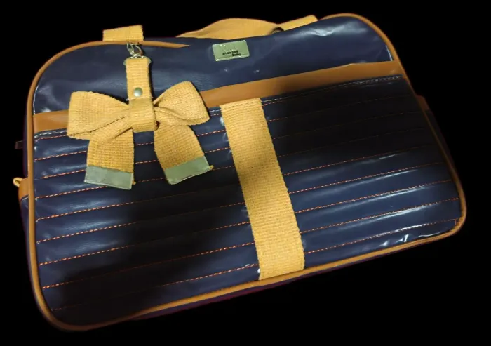 Lindo Kit Maternidade (Mala + Bolsa de Passeio) Impecável
