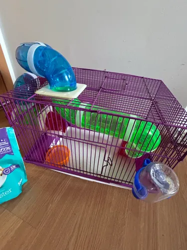Gaiola hamster