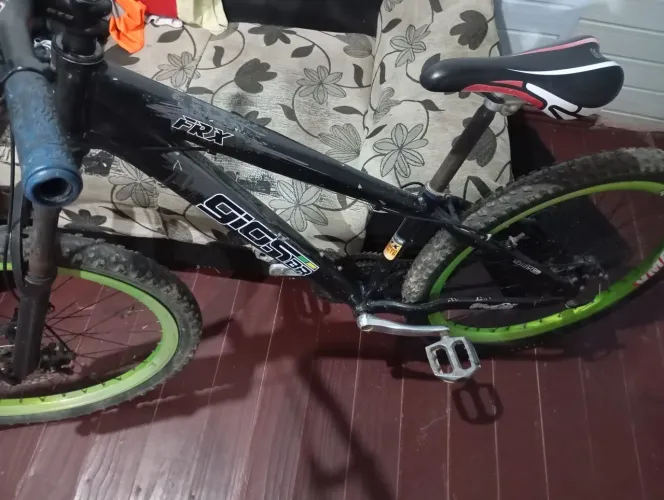 Vendo baik gios