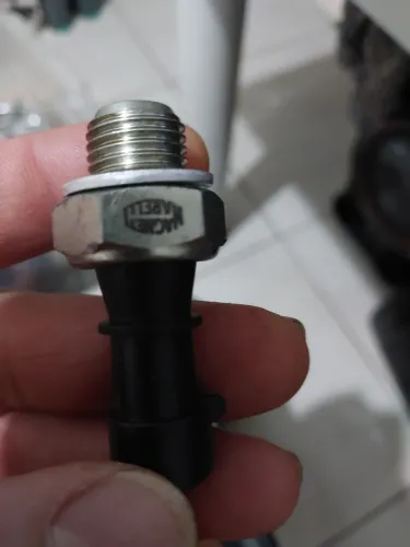 Cebolinha de oleo brava1.6 pra 70reais