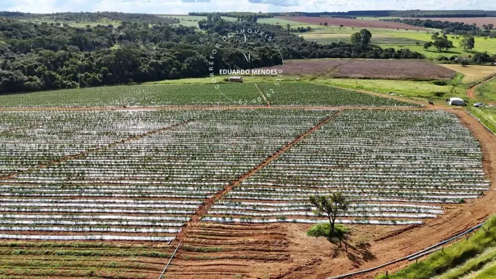 Chácara com 5 alqueires e 22litros, p/ plantação de horta , gado - Corumbá de Goiás - GO