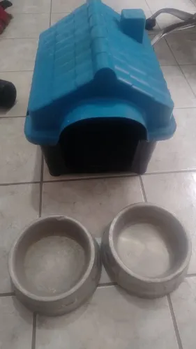 Casa Dog 