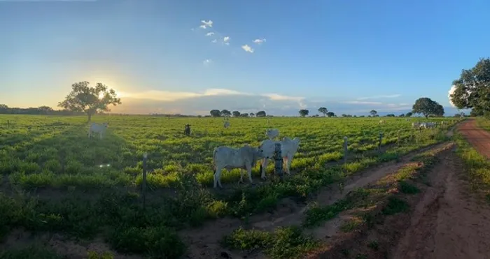 Fazenda 378 Alqueires Tocantins 