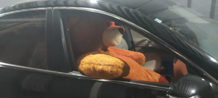 Urso Gigante de Pelúcia