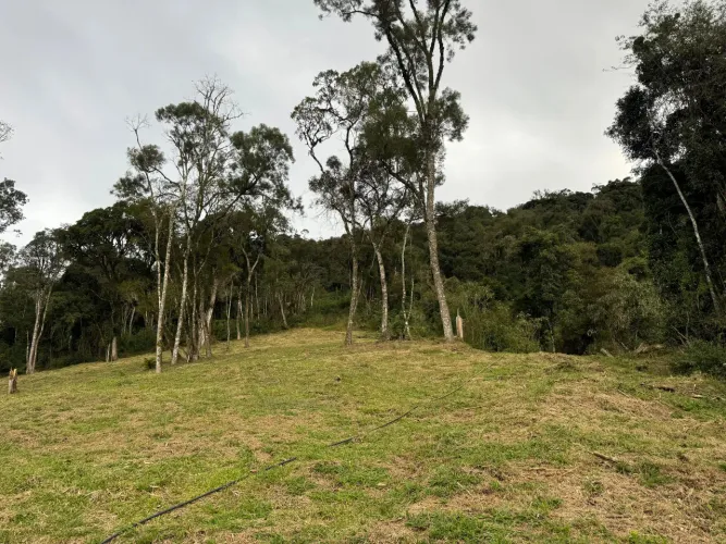 2,0 hectares com ótimo acesso, energia elétrica instalada e boas condições de pagamento