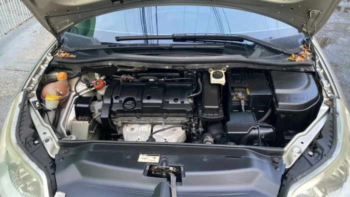 Citroen C4 GLX 1.6 Flex 16V 5P Mec. 2010