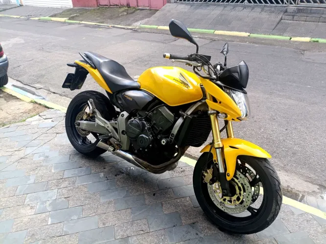 Hornet 2009