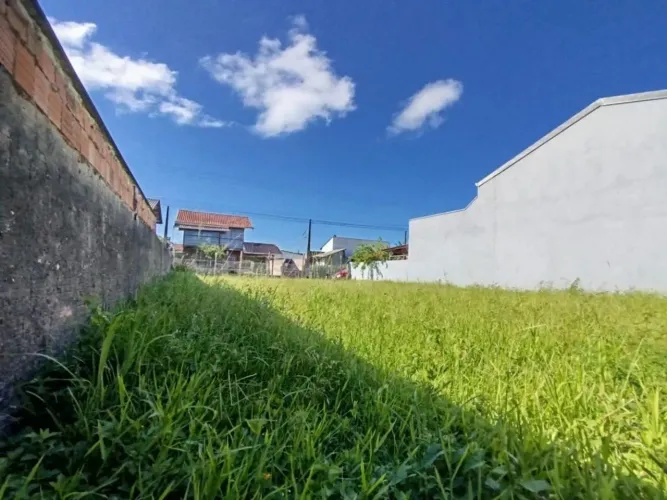 Terreno 12,5X25 Bairro Ubatuba