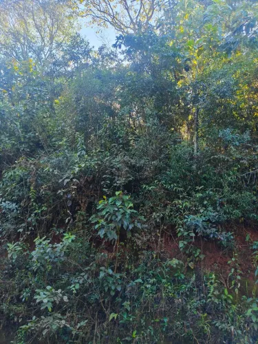 Terreno para sítio