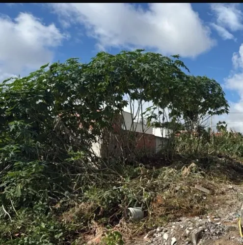 Terreno em tiangua 8x20 