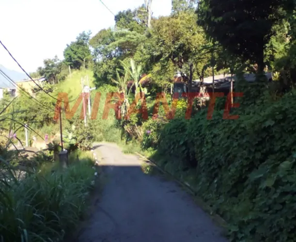 Terreno em Perus